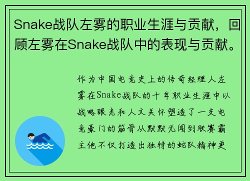 Snake战队左雾的职业生涯与贡献，回顾左雾在Snake战队中的表现与贡献。