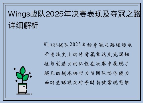 Wings战队2025年决赛表现及夺冠之路详细解析
