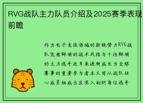 RVG战队主力队员介绍及2025赛季表现前瞻
