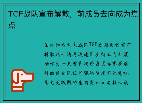TGF战队宣布解散，前成员去向成为焦点