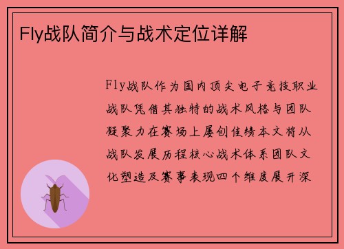 Fly战队简介与战术定位详解